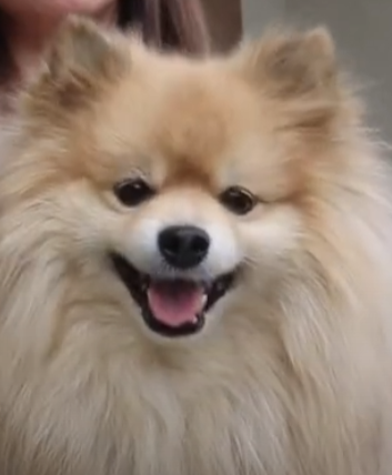 "Thank you Doc for sharing this amazing product with the world!"